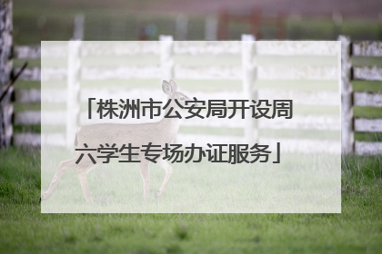 株洲市公安局开设周六学生专场办证服务