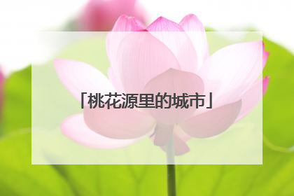 桃花源里的城市