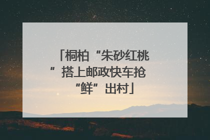 桐柏“朱砂红桃”搭上邮政快车抢“鲜”出村