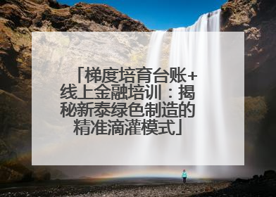 梯度培育台账+线上金融培训：揭秘新泰绿色制造的精准滴灌模式