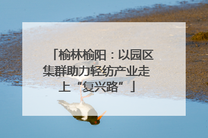 榆林榆阳：以园区集群助力轻纺产业走上“复兴路”