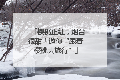樱桃正红，烟台很甜！邀你“跟着樱桃去旅行”