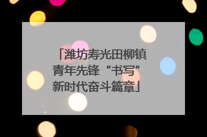 潍坊寿光田柳镇青年先锋“书写”新时代奋斗篇章