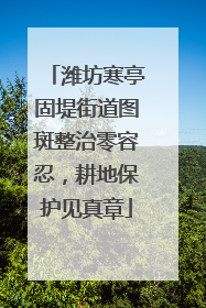 潍坊寒亭固堤街道图斑整治零容忍，耕地保护见真章