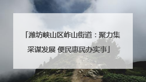 潍坊峡山区岞山街道：聚力集采谋发展 便民惠民办实事