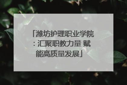 潍坊护理职业学院：汇聚职教力量 赋能高质量发展