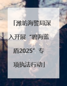 潍坊海警局深入开展“碧海蓝盾2025”专项执法行动