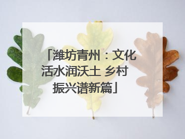 潍坊青州：文化活水润沃土 乡村振兴谱新篇