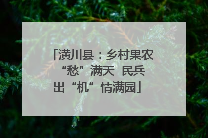 潢川县：乡村果农“愁”满天  民兵出“机”情满园