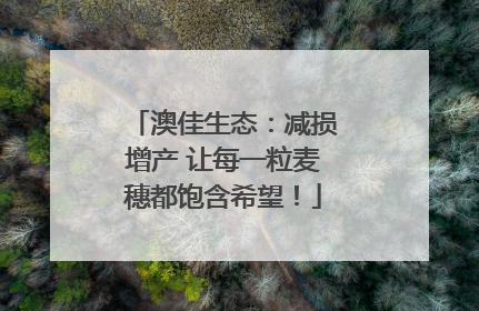 澳佳生态：减损增产 让每一粒麦穗都饱含希望！