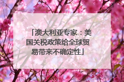 澳大利亚专家：美国关税政策给全球贸易带来不确定性