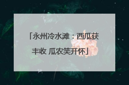 永州冷水滩：西瓜获丰收 瓜农笑开怀