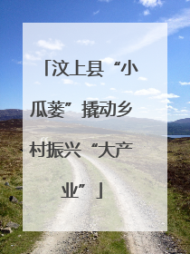 汶上县“小瓜蒌”撬动乡村振兴“大产业”