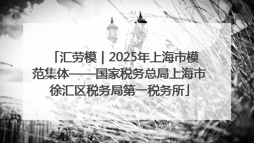 汇劳模｜2025年上海市模范集体——国家税务总局上海市徐汇区税务局第一税务所