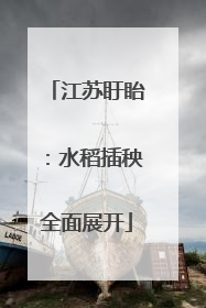 江苏盱眙：水稻插秧全面展开