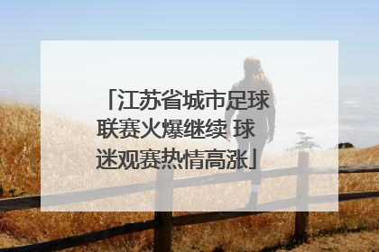 江苏省城市足球联赛火爆继续 球迷观赛热情高涨
