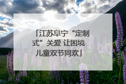 江苏阜宁“定制式”关爱 让困境儿童双节同欢