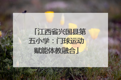 江西省兴国县第五小学：门球运动赋能体教融合