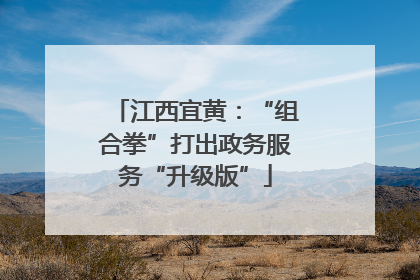 江西宜黄：“组合拳”打出政务服务“升级版”