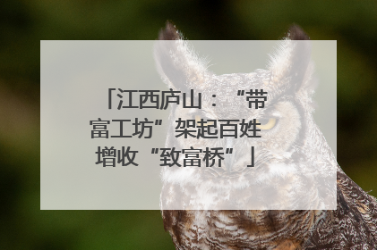 江西庐山：“带富工坊”架起百姓增收“致富桥”