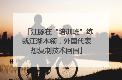 江豚在“培训班”练就江湖本领，外国代表想复制技术回国