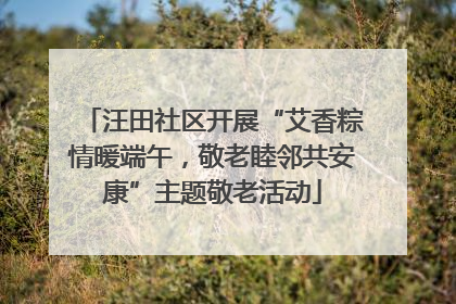 汪田社区开展“艾香粽情暖端午，敬老睦邻共安康”主题敬老活动