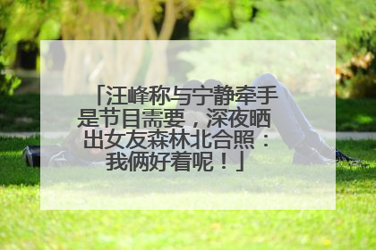 汪峰称与宁静牵手是节目需要，深夜晒出女友森林北合照：我俩好着呢！