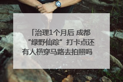 治理1个月后 成都“绿野仙踪”打卡点还有人横穿马路去拍照吗？｜民情瞭望