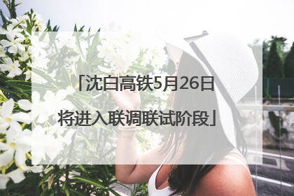 沈白高铁5月26日将进入联调联试阶段