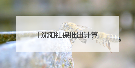 沈阳社保推出计算“神器”！延到哪年退休？还要交多少年社保？速查→