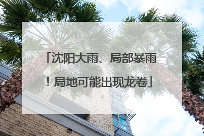 沈阳大雨、局部暴雨！局地可能出现龙卷