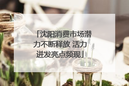 沈阳消费市场潜力不断释放 活力迸发亮点频现