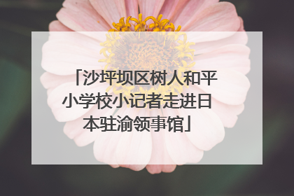 沙坪坝区树人和平小学校小记者走进日本驻渝领事馆