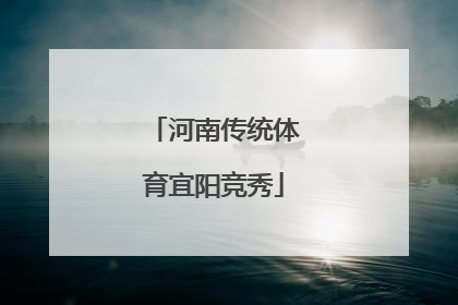 河南传统体育宜阳竞秀