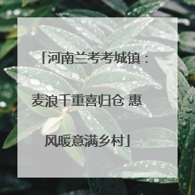 河南兰考考城镇：麦浪千重喜归仓 惠风暖意满乡村