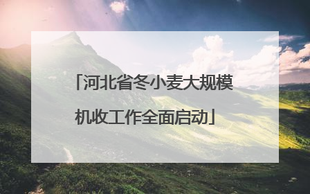 河北省冬小麦大规模机收工作全面启动