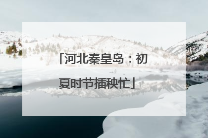 河北秦皇岛：初夏时节插秧忙