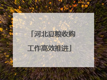 河北夏粮收购工作高效推进