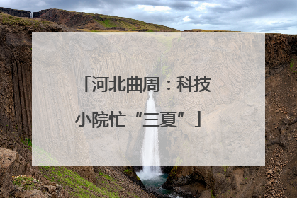 河北曲周：科技小院忙“三夏”