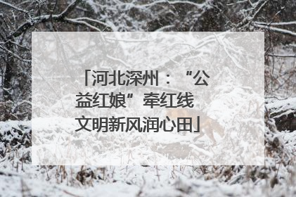 河北深州：“公益红娘”牵红线 文明新风润心田