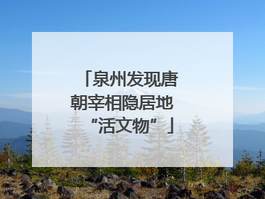 泉州发现唐朝宰相隐居地“活文物”