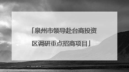 泉州市领导赴台商投资区调研重点招商项目