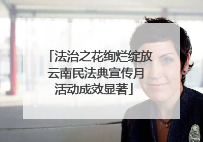 法治之花绚烂绽放 云南民法典宣传月活动成效显著