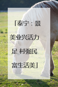 泰宁：景美业兴活力足 村强民富生活美