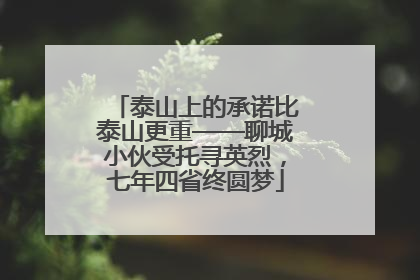 泰山上的承诺比泰山更重——聊城小伙受托寻英烈，七年四省终圆梦