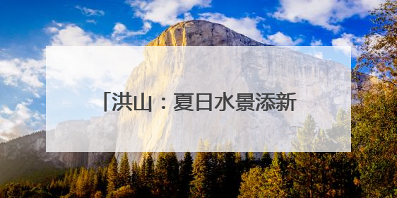 洪山：夏日水景添新韵 碧波粉黛入画来