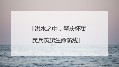 洪水之中，肇庆怀集民兵筑起生命防线