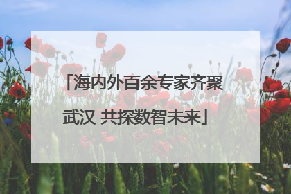海内外百余专家齐聚武汉 共探数智未来