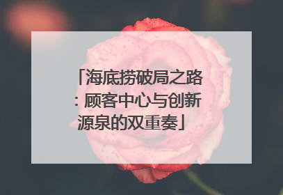 海底捞破局之路：顾客中心与创新源泉的双重奏