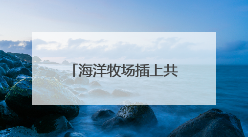 海洋牧场插上共享翅膀，老尹家海参认养“一亩海”累计合作近200企业客户